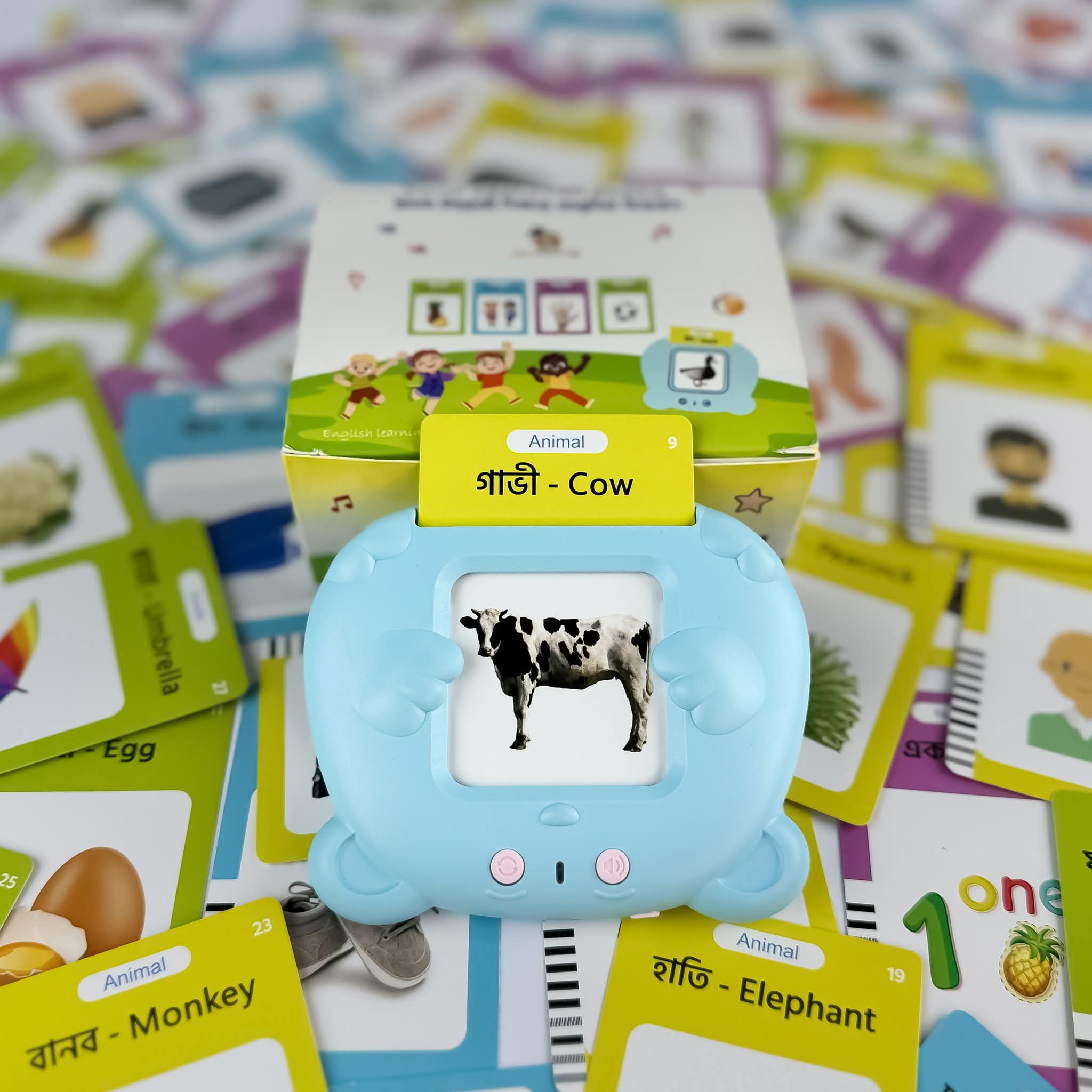 Talking flash card learning device-112 card 224 word